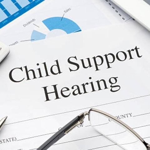 Child Support Document / Family Court Matter